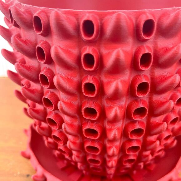 Barnacle Planter Pot, Indoor Flower Pot, Houseplants - Picture 4 of 9